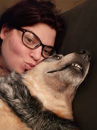 Hank, the adorable dog with crazy eyes, in the Buck Wild Heelers group