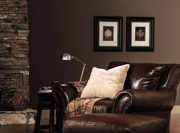 Richly Brown Color Room