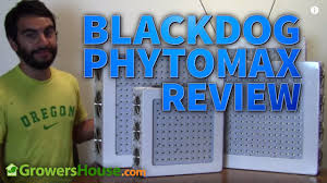 Black dog platinum xl 750w led grow light. Blackdog Phytomax Led Growlight Test Review Youtube