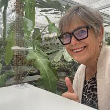 Christeen Flynn Harcourts Gold