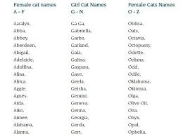 We did not find results for: Cute Cat Names Female Unique Cuteanimals Cute Cat Names Girl Cat Names Cat Names