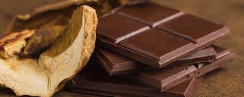 Mushroom Chocolate A Dangerous Delicacy Banyan Massachusetts