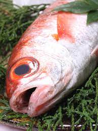 Fish In Season Akamutsu Rosy Seabass Or Blackthroat Seaperch Shiro S Sushi Restaurant