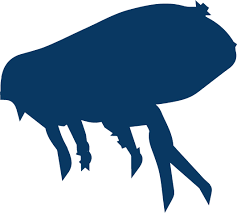 By continuing to use our services beginning may 25, 2018, you acknowledge and. American Pest Services Pest Control Services