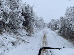 You can hear the trees creaking with dangerous, heavy loads of snow. Gallery Wintry Mix In San Antonio Hill Country