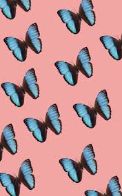 See high quality wallpapers follow the tag #iphone purple butterfly wallpaper. Blue Butterfly Wallpaper Tumblr