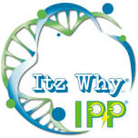 IPP® Coral Springs Connection Experience!
