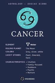The flowers associated with cancer are the water lily and the magnolia (depicted in the first square above). 27 Astrology Ideas Astrology Sun Sign Zodiac Signs