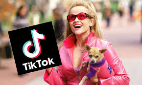 Legally blonde is a broad, glossy teen comedy that shows off witherspoon's wicked comic talents. 9 Tiktoks To Celebrate Legally Blonde 3 Release Date Legal Cheek