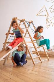 Panda Playground Indoor Jungle Gym Indoor Jungle Gym Kids Indoor Playground Kids Gym