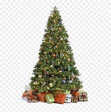 Christmas tree png & psd images with full transparency. Real Christmas Tree Png Transparent Png Vhv