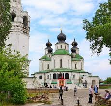 Image result for Kotschya strigosa