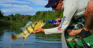 PMS | Selvíria em festa! Tucuna Free 2022 terá torneio de pesca e vários  shows