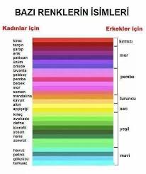 Komik Bilgiler Renkler Funny Facts Funny Quotes Quotations