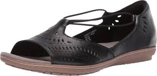 Earth discount camellia nauset