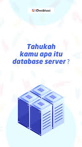 Tahukah Kamu Apa Itu Database Server Pengetahuan Jenis Komputer