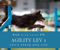 The speak command should consist of only a few short barks. Let S Speak Dog Ltd Letsspeakdog Twitter