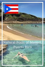 También son conocidos como manatíes o «vacas marinas». Finding The Manati Natural Pools Travel Puerto Rico