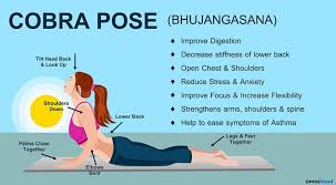 Cobra Pose Bhujangasana Yoga For Beginners Yoga Positions For Beginners Yoga For Beginners Cobra Pose