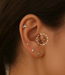 Image result for Tragus