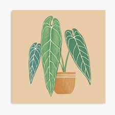 Pin On Redbubble