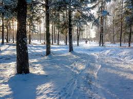 снег выпал только в январе на третье в ночь Sneg Vypal Zimy Zhdala Zhdala Priroda Sneg Vypal Tolko V Yanvare Na Trete V Noch