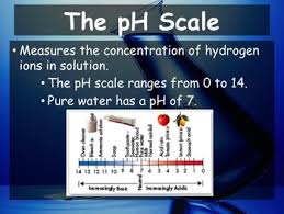Free time activities other contents: Biology 2 2 Properties Of Water Powerpoint And Guided Notes Tpt
