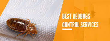 Trutco is a lawn care and pest control service based in jacksonville, fl. Bed Bug Pest Control Near Me Bed Bug Pest Control We Care