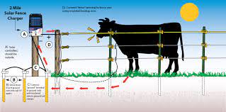 For boundary fences achieve this with internal energized offset wires. Shock Fence Cheap Buy Online