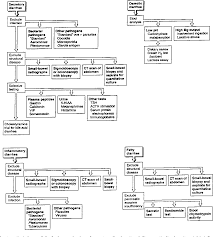 Figure 2 From Aga Technical Review On The Evaluation And