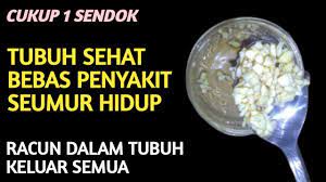 Racun Dalam Tubuh Keluar Semua Begini Cara Mengeluarkan Racun Dalam Tubuh Secara Alami Lakizone Youtube Tubuh Tubuh Sehat Diet Detoks