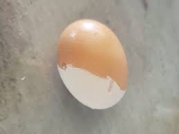 My black Maran laid this egg