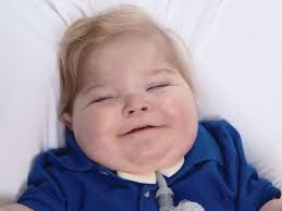 Fundraiser by Sean McElroy : Help Murphy experience the world