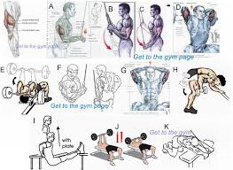 Tricepts Health Exercise Tips Triceps Workout Gym