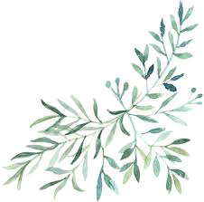 Damien Taylor and Erika Tobin's Wedding Website