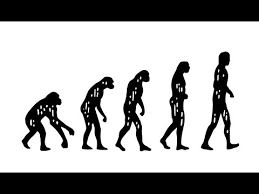 What Is Darwins Theory Of Evolution Youtube