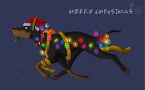 Christmas is much more than one meal: Christmas 2005 By Abyss Dog By Dobermans On Deviantart