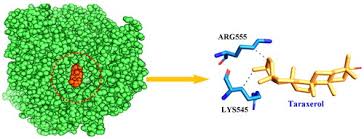 Image result for Tinnea antiscorbutica