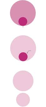 'vaccinations will of course bring immunity from covid, but they must bring immunity from lockdowns and restrictions too'. How China Slowed Coronavirus Lockdowns Surveillance Enforcers Wsj