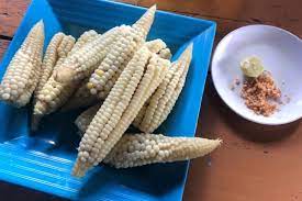 We did not find results for: Mencicipi Jagung Rebus Pulut Khas Kabupaten Takalar Enak Gurih