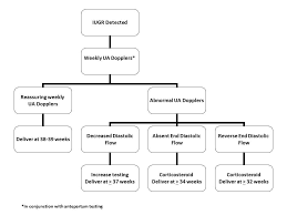 Intrauterine Growth Restriction Iugr Cancer Therapy Advisor