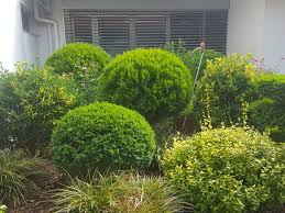 Was verdient man im bereich garten landschaftsbau? Ab Gartengestaltung 69126 Heidelberg Offnungszeiten Adresse Telefon