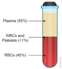 Blood Types Chart Lvn 2 Rn Blood Type Chart Blood
