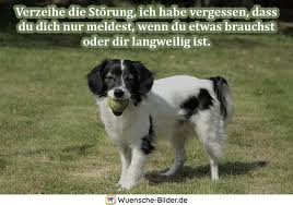 Á Freche Spruche Mit Bild Die Frechsten Spruche Im Uberblick
