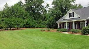 By patrick sisson from the december 2020 issue of landscape architecture magazine. Super Natural Landscaping South Carolina Landscaping Services