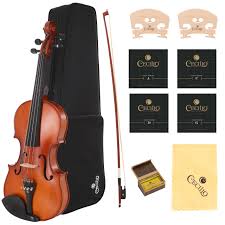 Image result for Viola eminii