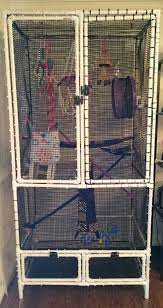 * what safety features do you need to watch out for? Pvc Cage Tutorial Tsugie S Sugar Gliders