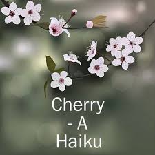 Cherry A Haiku Poem Generator Cinquain Haiku Haiku Poems