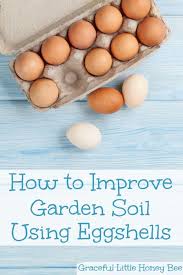 Chicken can carry bacteria like salmonella, and the pathogen can be transferred to eggs, especially those with small cracks in the shell. Improve Your Garden Soil Using Eggshells Graceful Little Honey Bee