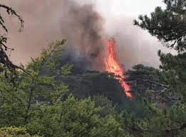 Jun 14, 2021 · da questa mattina i i vigili del fuoco del comando provinciale di lecce sono impegnati senza sosta per spegnere alcuni incendi che da giorni stringono il salento in una morsa. 7trxwkyy101j1m